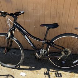 specialized ariel bike