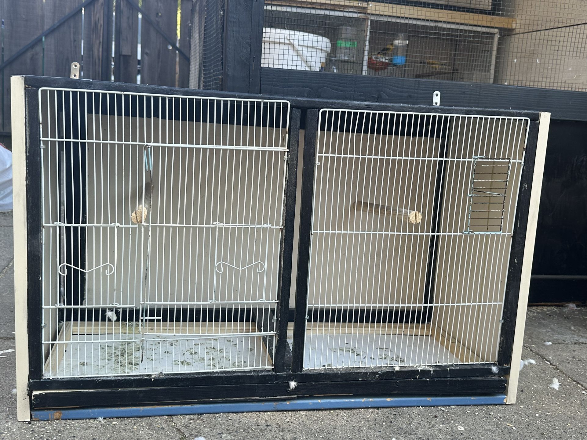 Bird Cage