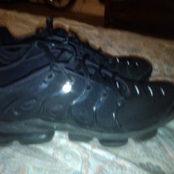 Air Pippen Shoes for Sale in Eagle Creek, OR - OfferUp