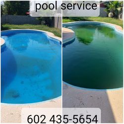 Pool Service /Servicio De Alberca