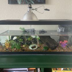 20 Gallon Fish Tank With Decorations 