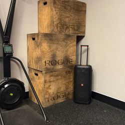 Rogue Plyo Boxes