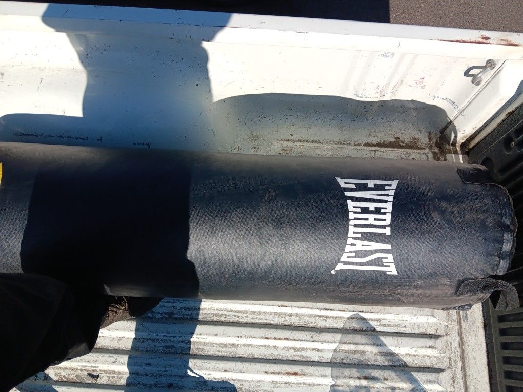 Everlast Punching Bag