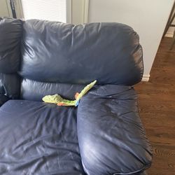 Sectional For Sofa