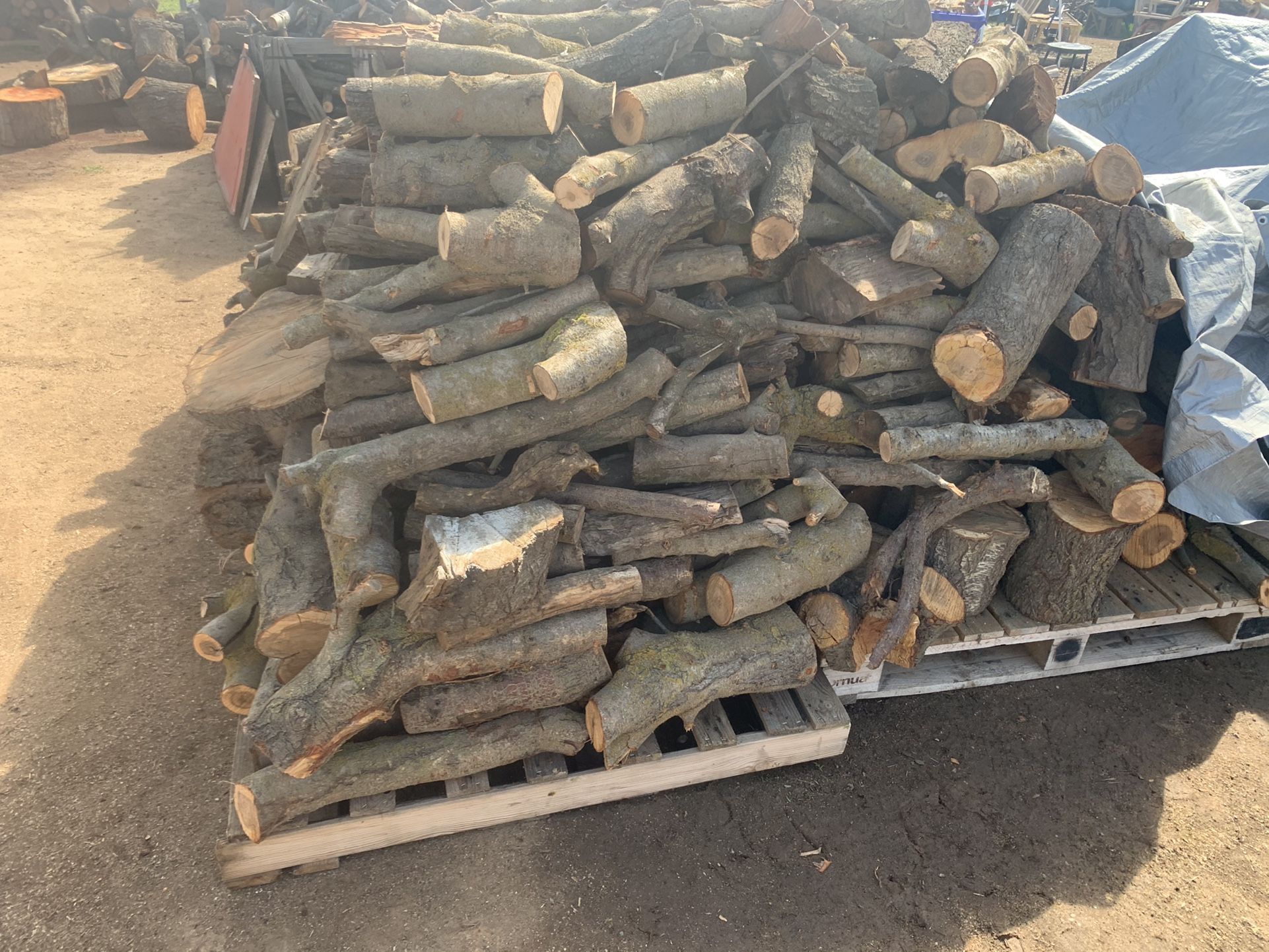 Dry Firewood!!!On The Go!!!