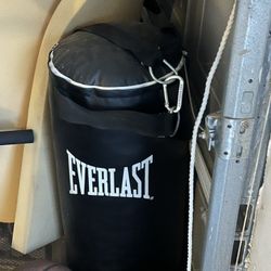 Everlast 40 lb Punching Bag