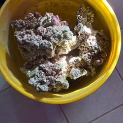 Bucket Of Aquarium Rocks