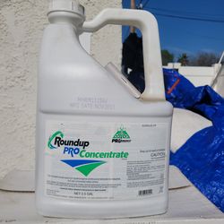 Roundup Pro Concentrate