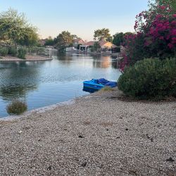 Paddle Boat