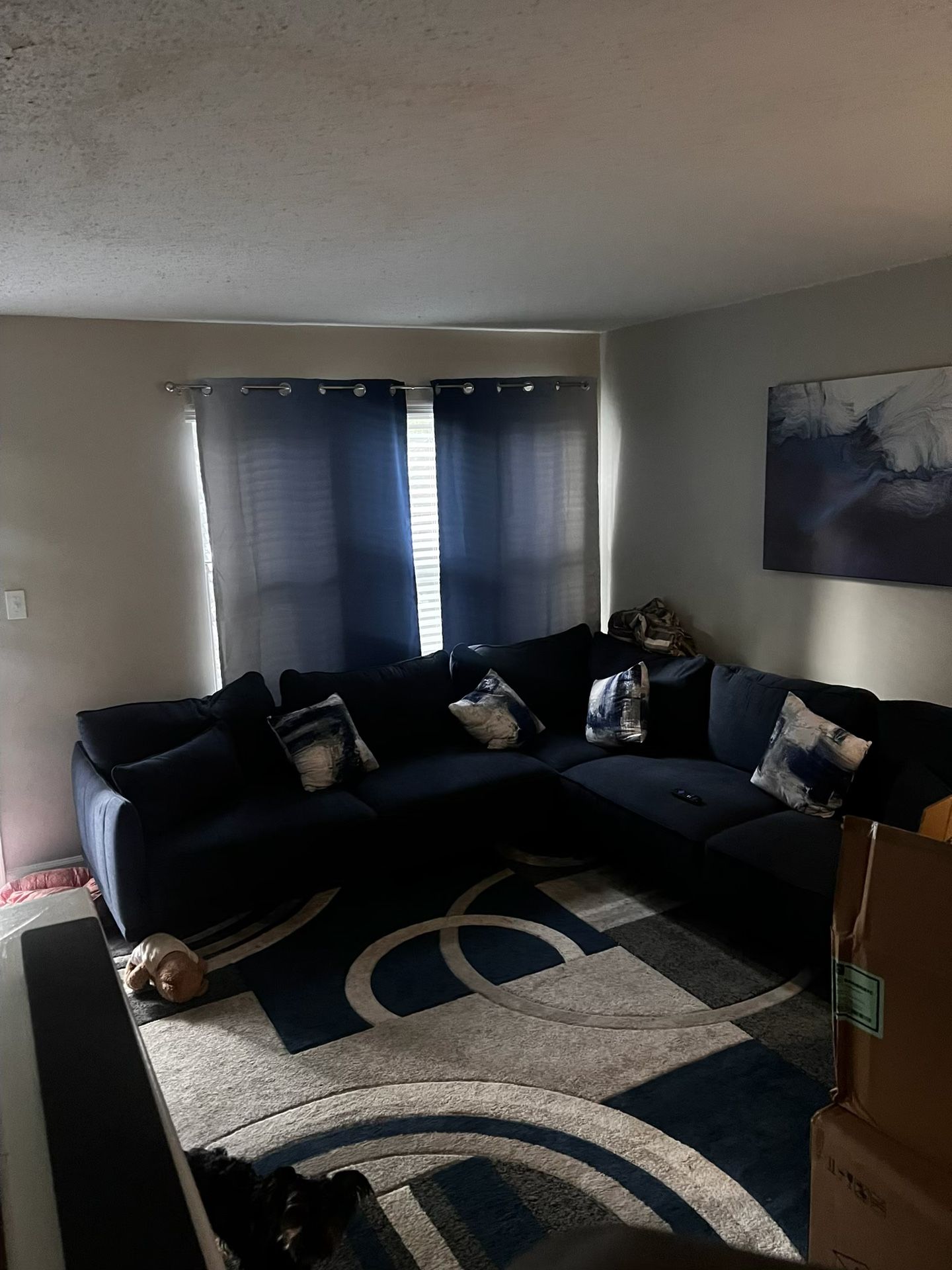 Furniture ( Couch, Rug, and/or Wall Picture)