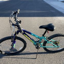 24 Inch Nishiki Pueblo Bike