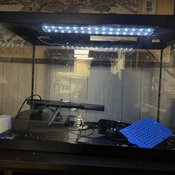 Bubble Wall Aquarium 