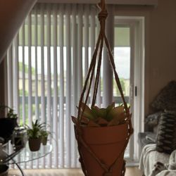 Fake Plant Decoration