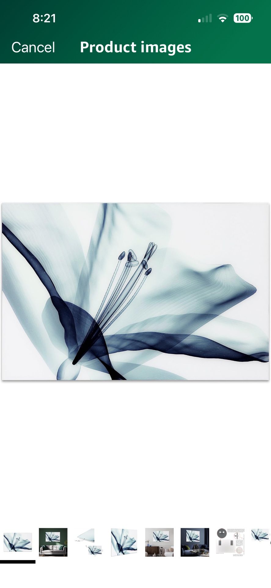 Tempered Glass Wall Art