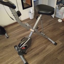 Ecerpelitic Exercise Bike