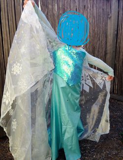 Princess Dress Elsa