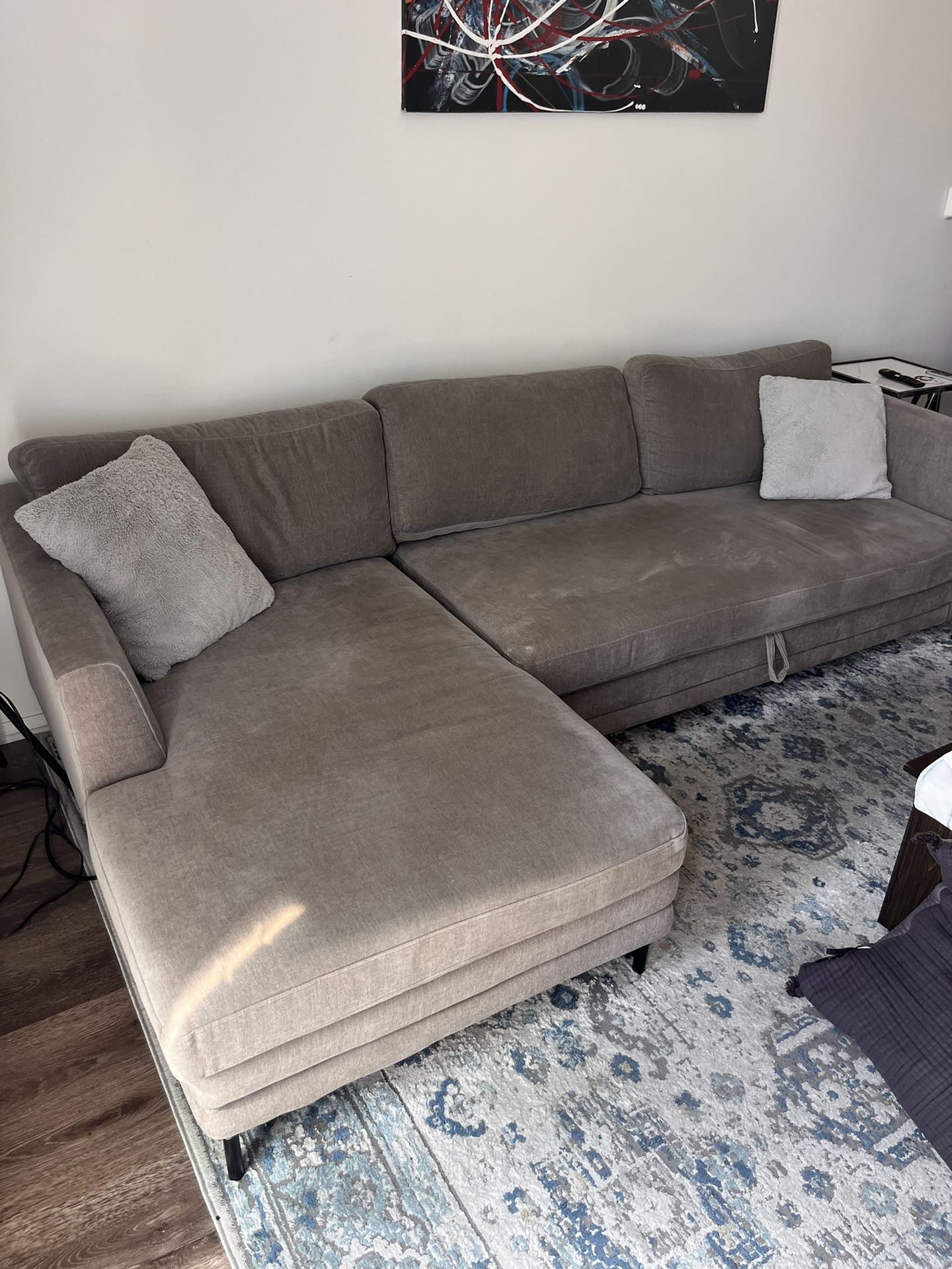 Pull Out Sectional Couch