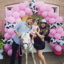 Barnyard Balloons Decorations 