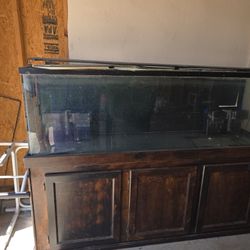 125g Fish Tank