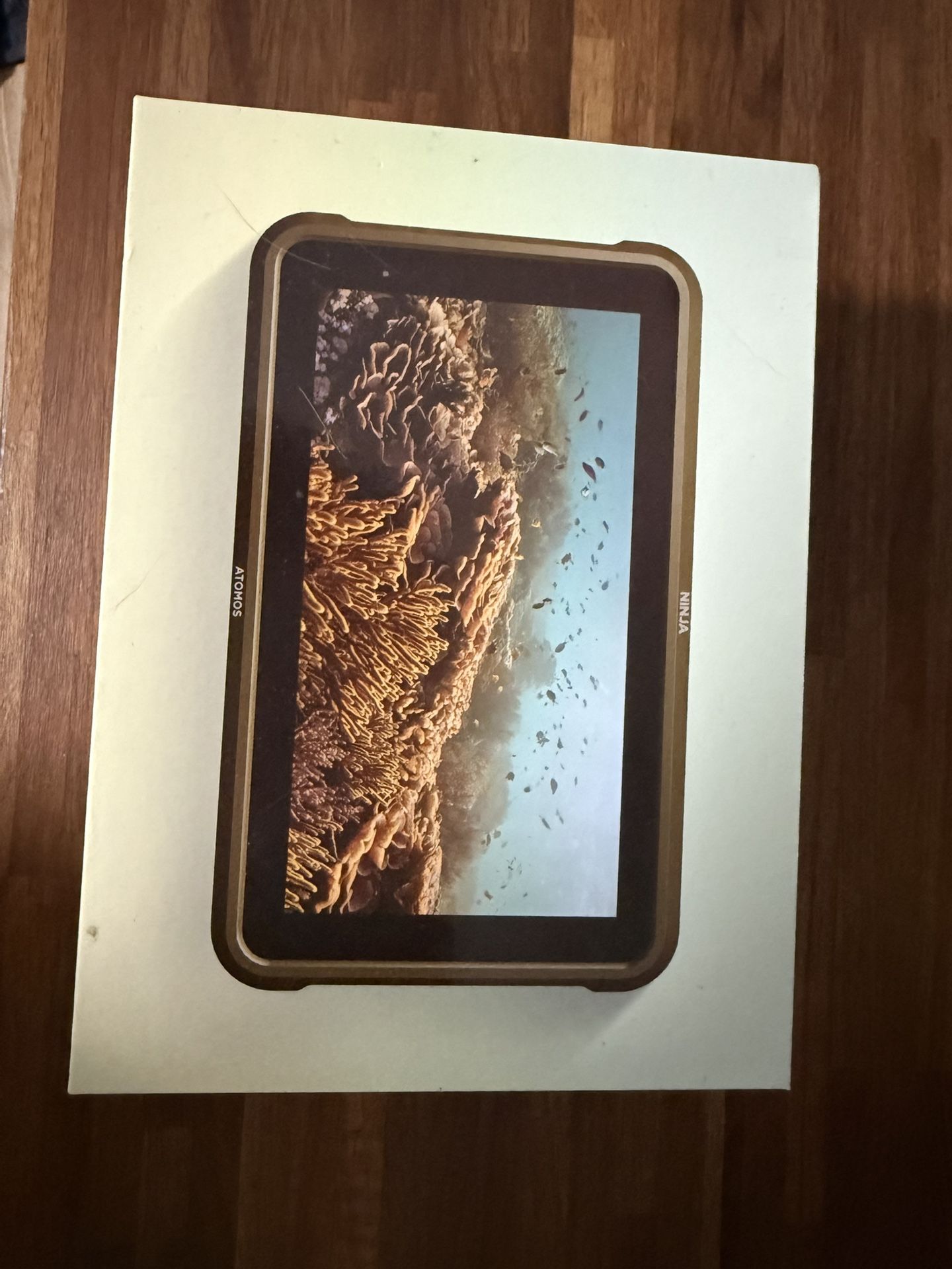 Atomos Ninja 5.2” 4K HDMI Recording Monitor