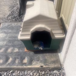 Plastic Dog House 