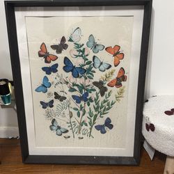 Butterfly picture frame