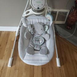 Ingenuity Baby Swing