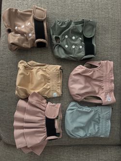 Dog diapers
