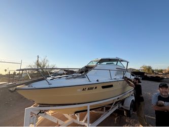 sea ray boat