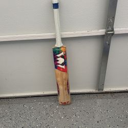 Willis Woodbury Cricket Bat
