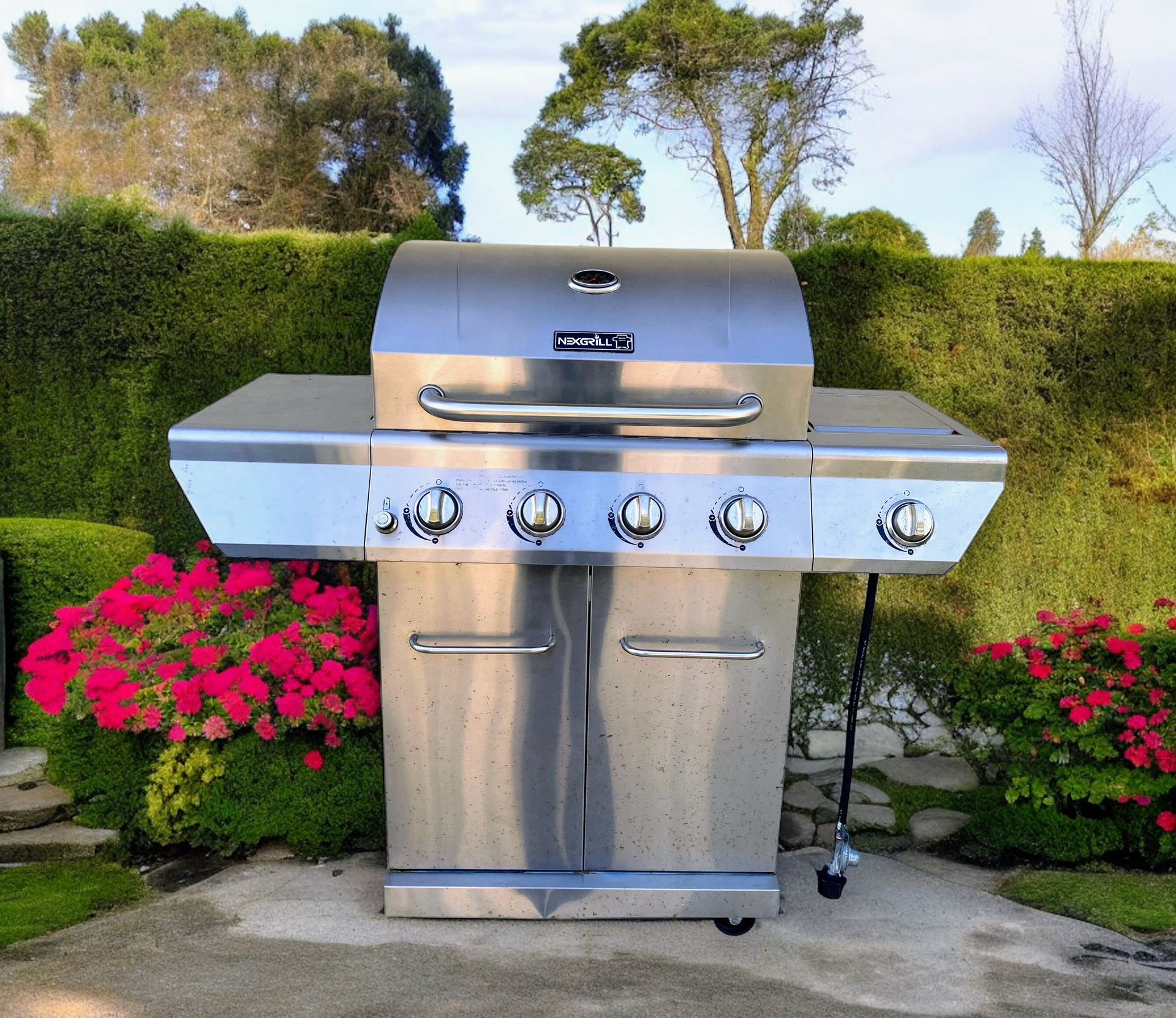 Great Shape Clean BBQ Grill