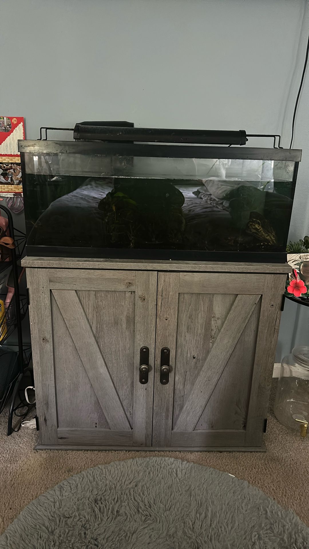 20 Gallon Fish Tank