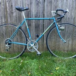 Schwinn Road Bike