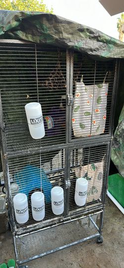 Guinea Pig Cage