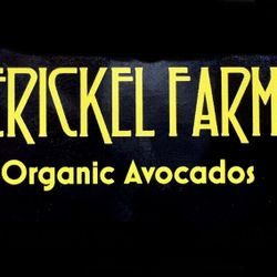 Organic Hass Avocados 7 for $5.00