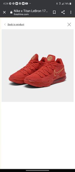 A Brand New LeBrons 17 Titan 2020 Just Came Out 9 + 1/2 Pay 200 Asking 100