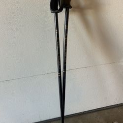 Gipron Ski Poles