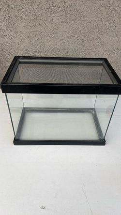 Terrarium