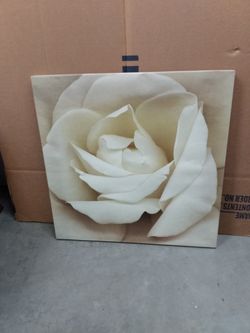 Wall Decorative