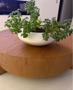 White fiberglass Low Bowl Planter with Plants