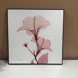 Floral Picture Frame Art
