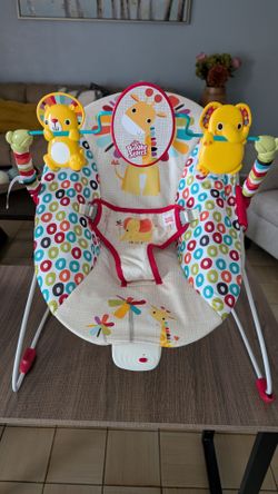 Baby Bouncer