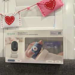 Owlet sock Dream Duo 2 