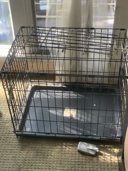 Dog Case $15