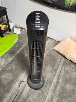 Perfect fan 10$