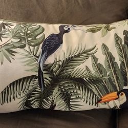 Couch Pillow