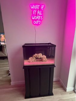 25 Gallon Fish Tank with Stand – Aquarium Setup