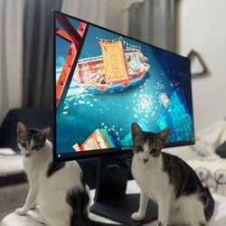 LG OLED Dual Mode 4k/240hz,1080p 480hz Trades Accepted 