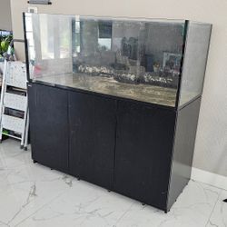 Redsea 625xxl Reef saltwater tank