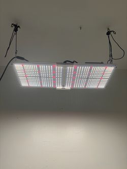 LED Grow Light Spider Farmer